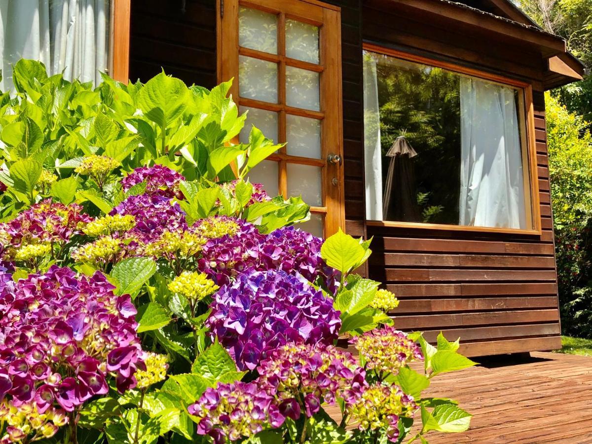 Cabanas Monte Verde Пукон Екстер'єр фото